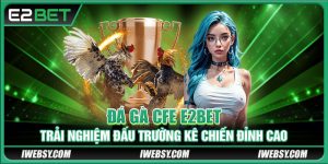 Đá Gà CFE E2BET - Trải Nghiệm Đấu Trường Kê Chiến Đỉnh Cao