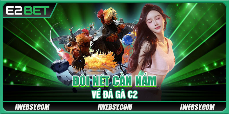Đôi nét cần nắm về đá gà C2