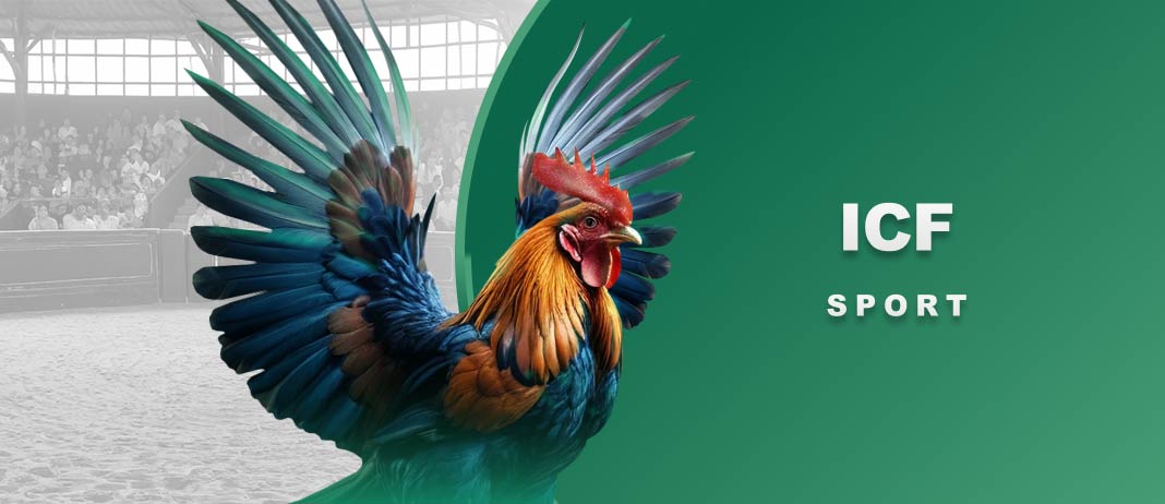 Sảnh gà ICF của e2bet