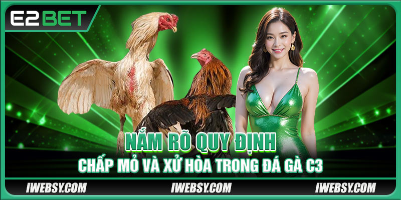 Nắm rõ quy định chấp mỏ và xử hòa trong đá gà C3