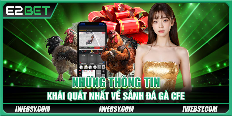 Những thông tin khái quát nhất về sảnh đá gà CFE 