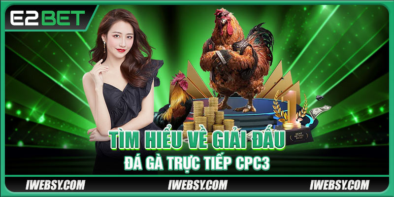 Tìm hiểu về giải đấu đá gà trực tiếp CPC3